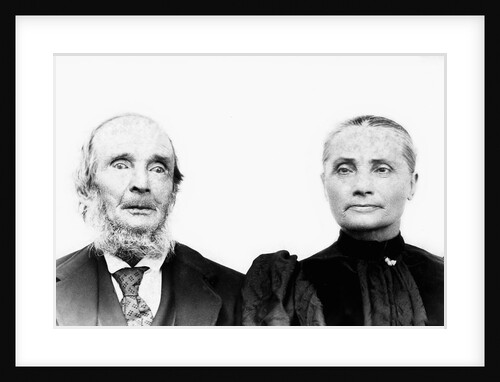 Portrait of a husband and wife, ca. 1890 by Anonymous