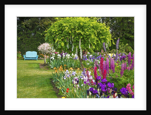 Schreiner Iris Gardens in Salem, Oregon by Anonymous