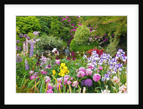 Schreiner Iris Gardens in Salem, Oregon by Anonymous