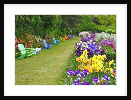 Schreiner Iris Gardens in Salem, Oregon by Anonymous