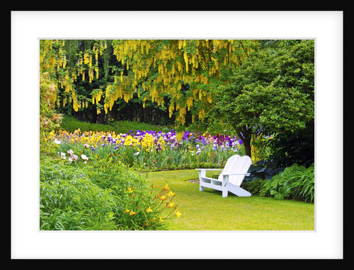 Schreiner Iris Gardens in Salem, Oregon by Anonymous