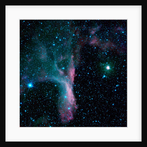 Reflection Nebula DG 129 in the Constellation Scorpius by Anonymous