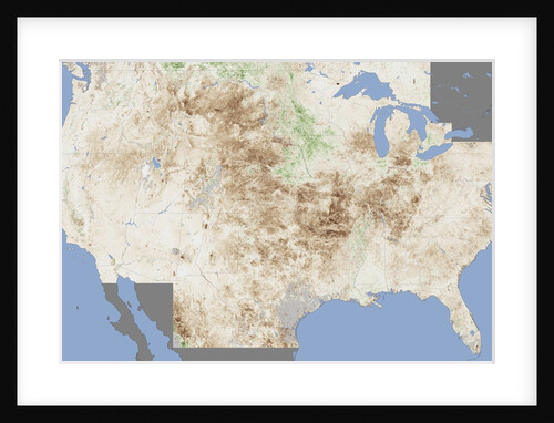 Crop Damage from Drought by Anonymous