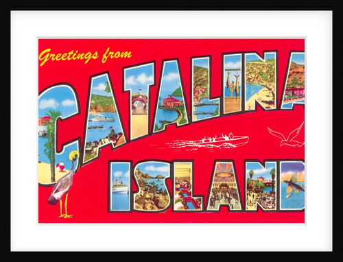 Greetings from Catalina Island, California by Anonymous