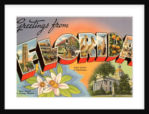 Greetings from Florida by Anonymous
