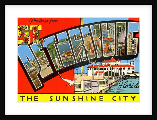 Greetings from St. Petersburg, Florida by Anonymous