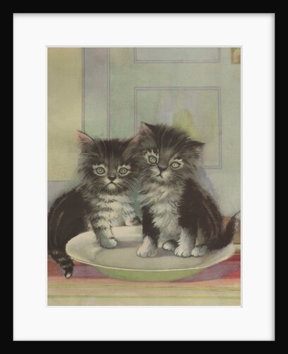Two kittens sitting in bowl by Anonymous