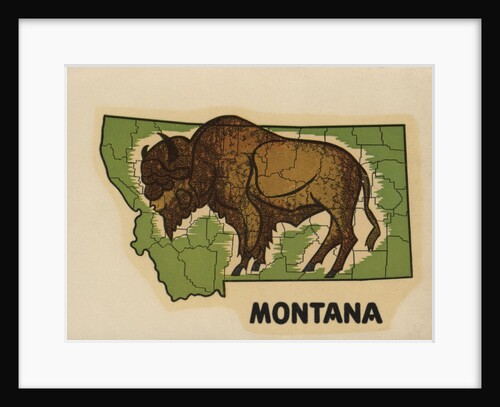 Montana travel decal by Anonymous