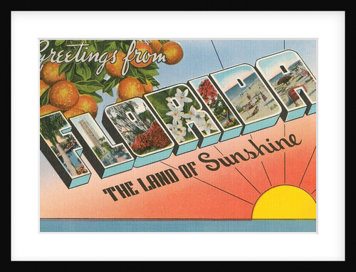 Greetings from Florida, the Land of Sunshine by Anonymous