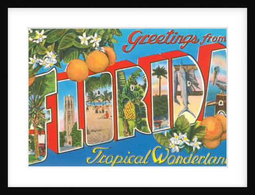 Greetings from Florida, Tropical Wonderland by Anonymous