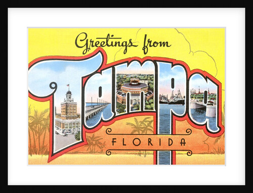 Greetings from Tampa, Florida by Anonymous