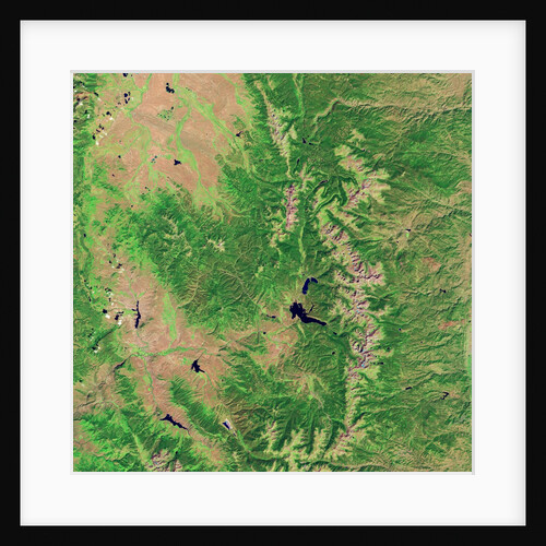 Pine Bark Beetle Damage to Forests, before image by Anonymous