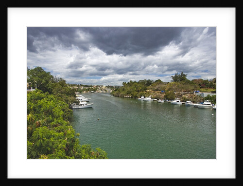 River, La Romana, Dominican Republic by Anonymous