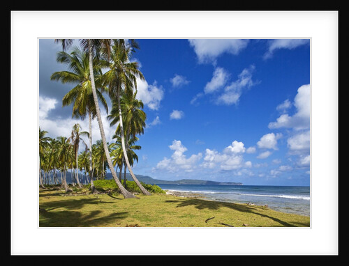 Tropical beach, Playa Las Galeras, Samana Peninsula, Dominican Republic by Anonymous