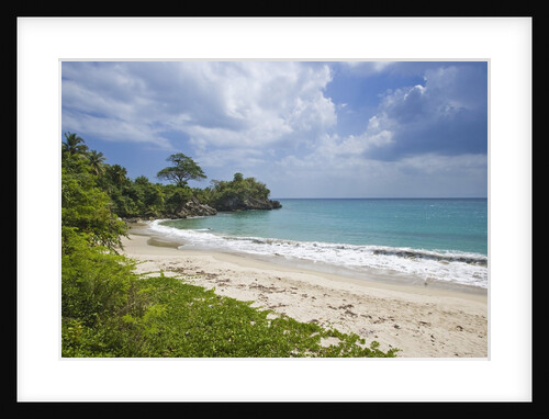 Tropical beach, Samana Peninsula, Dominican Republic by Anonymous