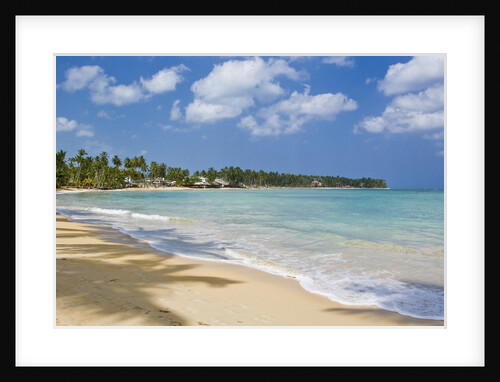Tropical beach, Las Terrenas, Dominican Republic by Anonymous