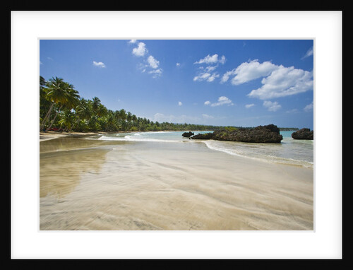 Tropical beach, Las Terrenas, Dominican Republic by Anonymous