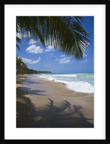 Tropical beach, Las Terrenas, Dominican Republic by Anonymous