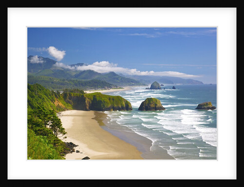 view of Cannon Beach from Ecola State Park. Oregon Coast. Pacific Ocean. by Anonymous