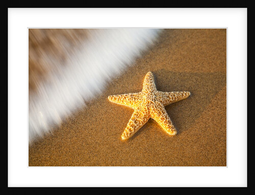 Starfish with evening surf rolling in by Anonymous