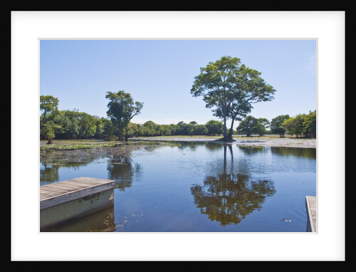 Lagoon in front of Pousada Rio Mutum, Mato Grosso, Brazil by Anonymous