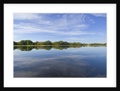 Rio Tulum, Mato Grosso, Brazil by Anonymous