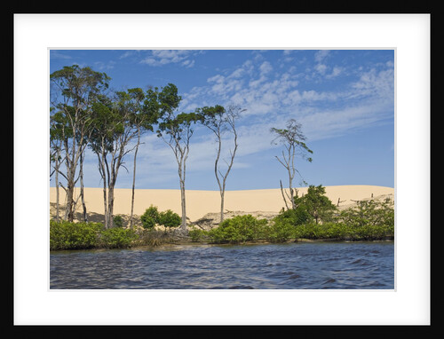 Preguicas River at Lencois Maranheinses National Park, Brazil by Anonymous