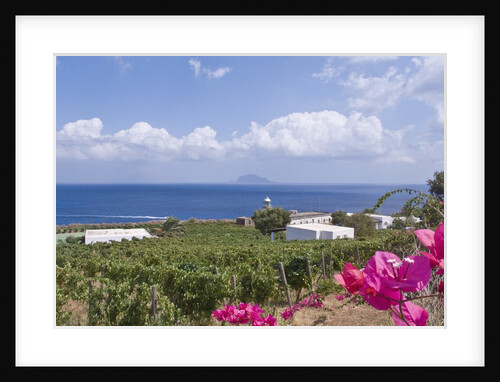 View of Capo Faro, Sicily, Italy by Anonymous