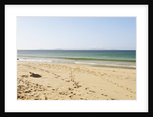 Beach at Papagayo natural Park, Lanzarote, Yaiza, Spain by Anonymous