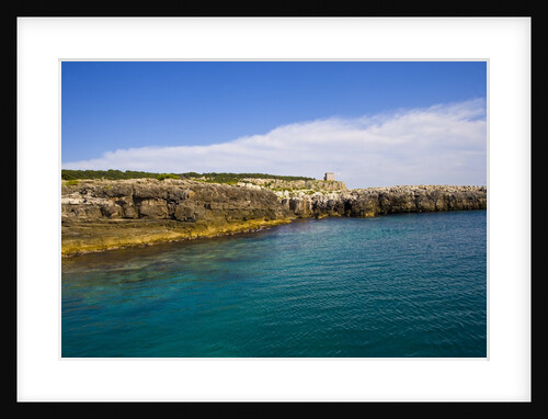 Sea coast, Parco Naturale di porto Selvaggio, Nardo, Italy by Anonymous