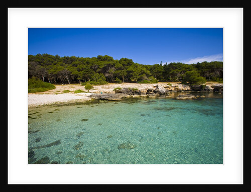 Sea coast, Parco Naturale di porto Selvaggio, Nardo, Italy by Anonymous