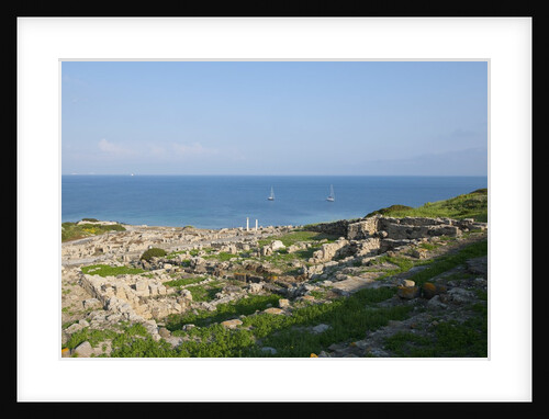 Ruines of Tharros, Cabras, Sardinia, Italy by Anonymous
