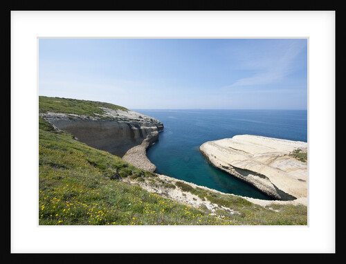 Sea coast at Punta Tangone, Sardinia, Italy by Anonymous