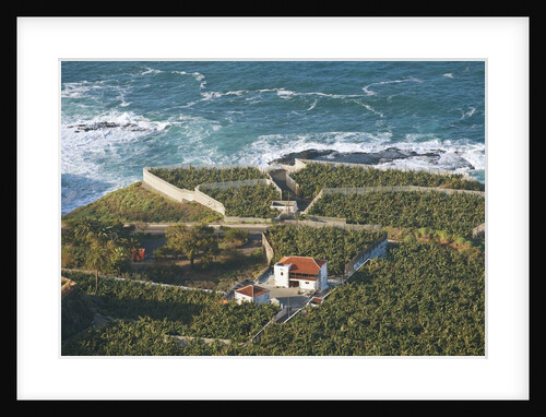 Lookout over Garachico coastline, Tenerife, Canary Islands, Spain by Anonymous