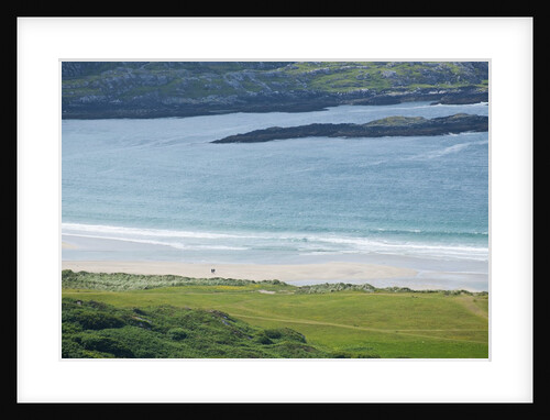 Sea coast, Derrynane National Historic Park, Ring of Kerry, Kerry County, Ireland by Anonymous