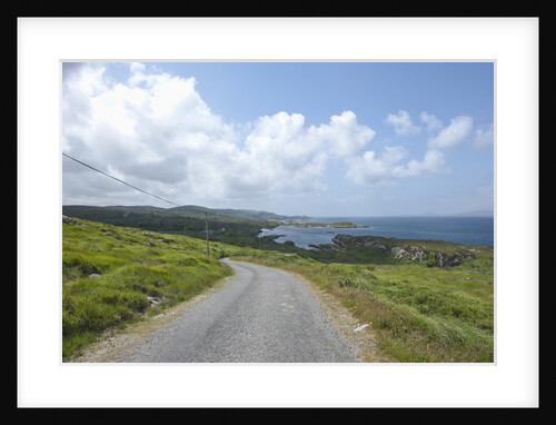 Kilcatherine Point road, Ring of Kerry, Kerry County, Ireland by Anonymous