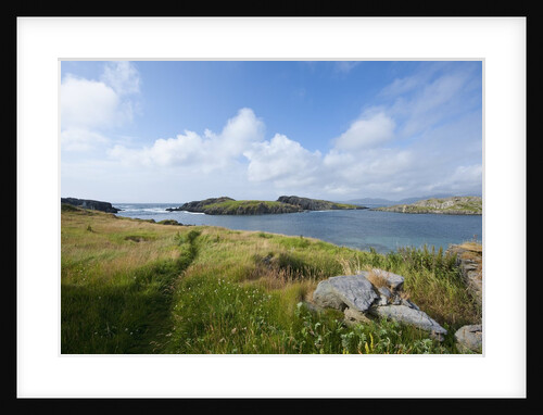 Ballydonegan Bay, Ring of Kerry, Kerry County, Ireland by Anonymous
