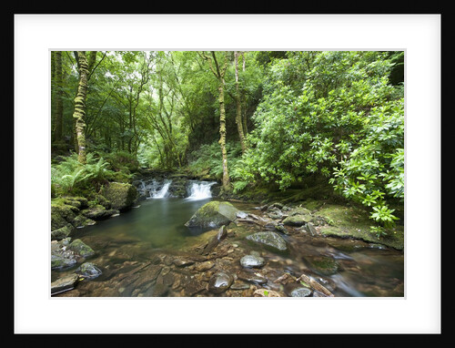 Torc Waterfall, Killarney National Park, Kerry County, Ireland by Anonymous