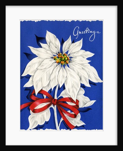 Vintage Illustration of Christmas Poinsettia by Anonymous