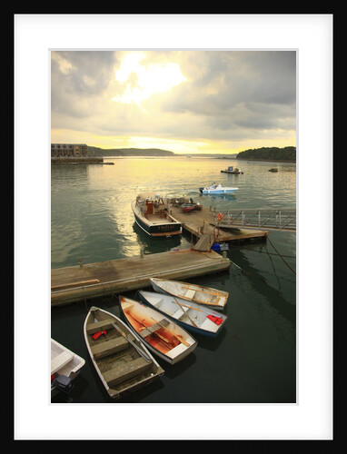 Moored boats, Acadia National Park, Maine, USA by Anonymous