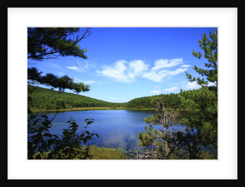 View of lake, cadia National Park, Maine, USA by Anonymous