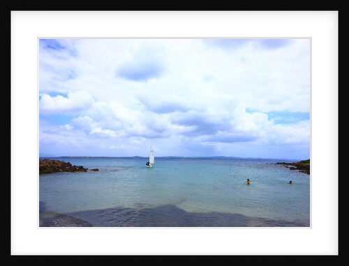 Sailing boat on sea, San Pietro island, Carloforte, Sardinia, Italy by Anonymous