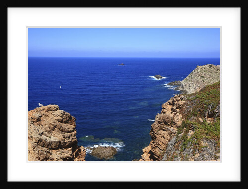 Coastline, San Pietro island, Carloforte, Sardinia, Italy by Anonymous