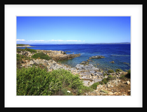 Rocky coastline, San Pietro island, Carloforte, Sardinia, Italy by Anonymous