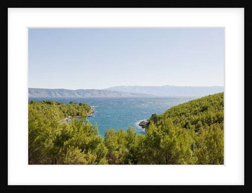 Lush foliage of island, Vrboska, Hvar Island, Croatia by Anonymous