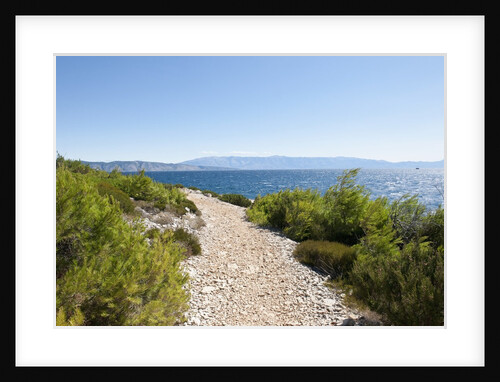 Footpath by sea, near Vrboska, Hvar Island, Croatia by Anonymous