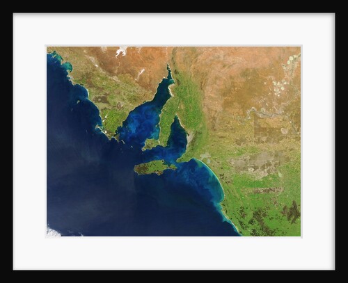 Phytoplankton blooms off South Australia by Anonymous