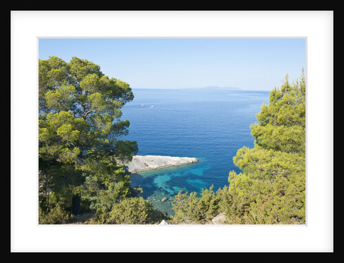 Zarace bay, Hvar Island, Croatia by Anonymous