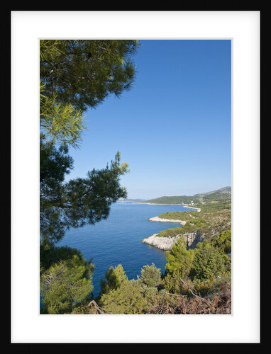 View of Zarace bay, Hvar Island, Croatia by Anonymous