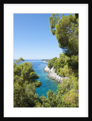 Coastline, Korcula island, Croatia by Anonymous